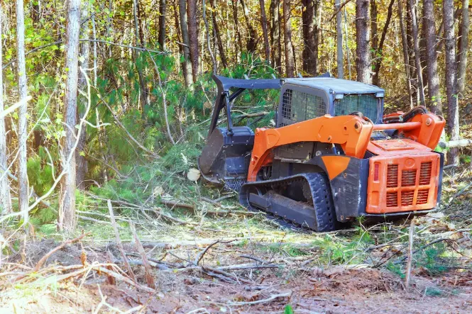 Forestry Mulching Forestry Mulching